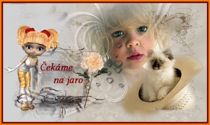 vlozka---1---kopie.jpg